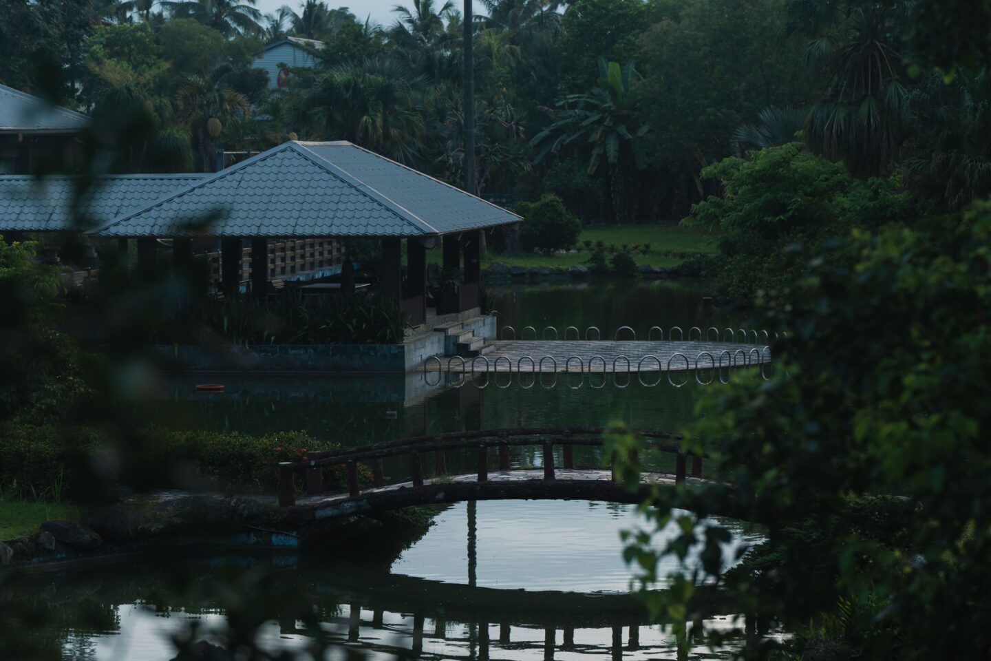 親子餵魚池-怡園渡假村